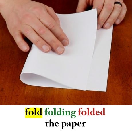 Fold